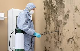 Mold Remediation for Vacation Homes in Vandenberg Af, CA